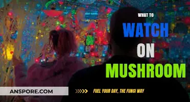 Best Movies to Watch on Mushrooms