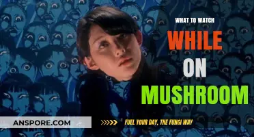 Psychedelic Cinema: Top Trippy Films for Your Mushroom Adventure