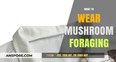 Mushroom Foraging: Dress for Success