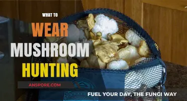 Mushroom Hunting: Dress for Success