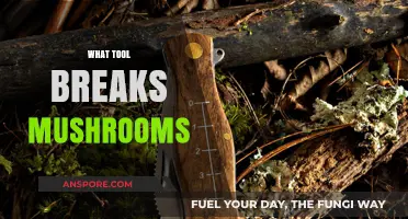Breaking Mushrooms: The Ultimate Tool Guide