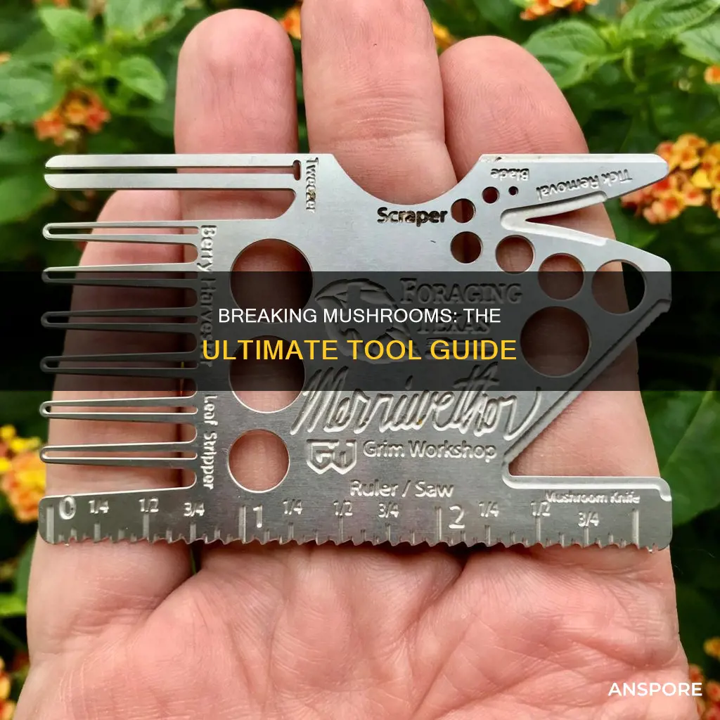 what tool breaks mushrooms