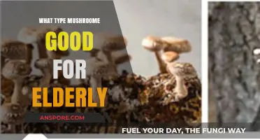 Nutritious Mushrooms for Elderly Health: Boosting Immunity and Vitality