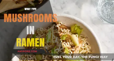 Mushroom Magic: Ramen's Perfect Fungi Partners
