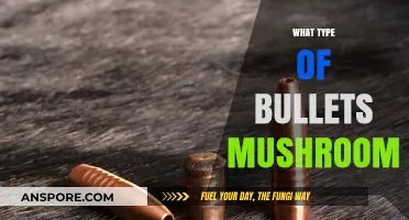 The Science Behind Bullet Mushrooming
