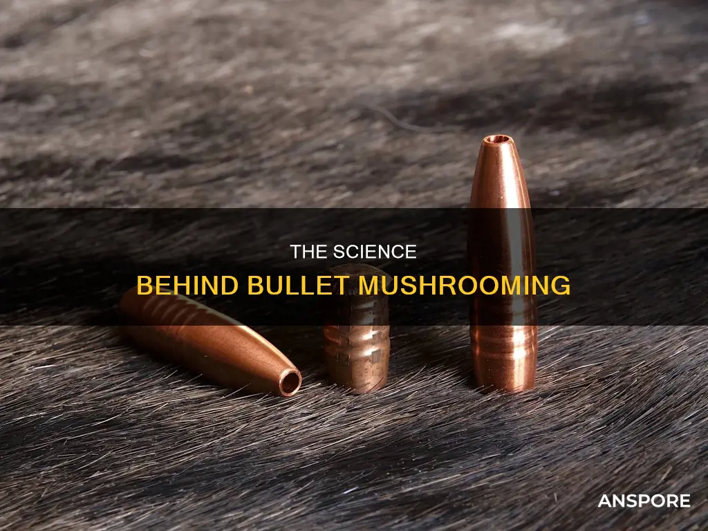 what type of bullets mushroom