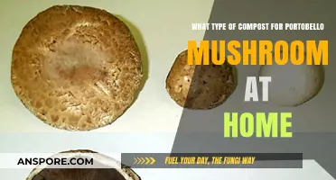 Best Compost for Growing Portobello Mushrooms at Home: A Guide