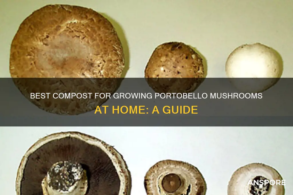 what type of compost for portobello mushrooms at home