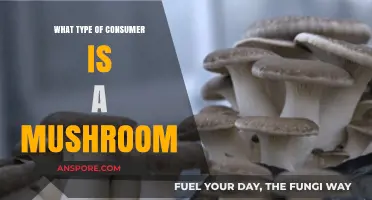 Mushroom Consumers: Understanding Their Unique Role in Ecosystems