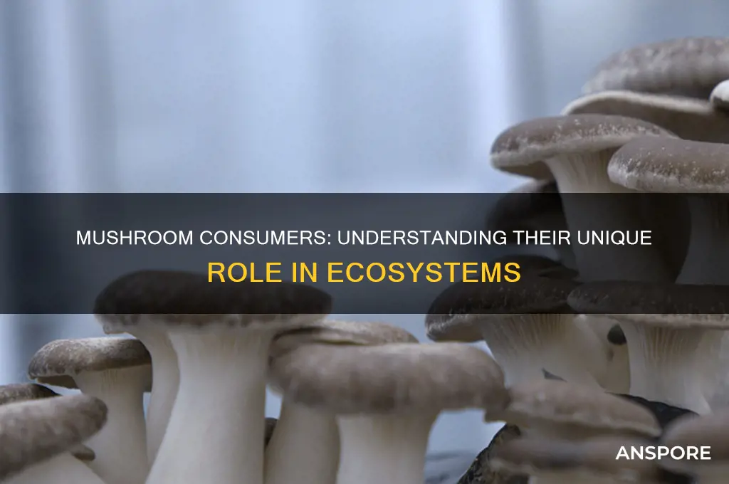 what type of consumer is a mushroom