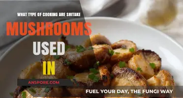 Shiitake Mushrooms: Versatile Uses in Global Cuisine and Cooking Styles