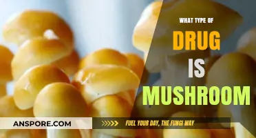 Exploring Psilocybin: Understanding the Nature of Magic Mushrooms