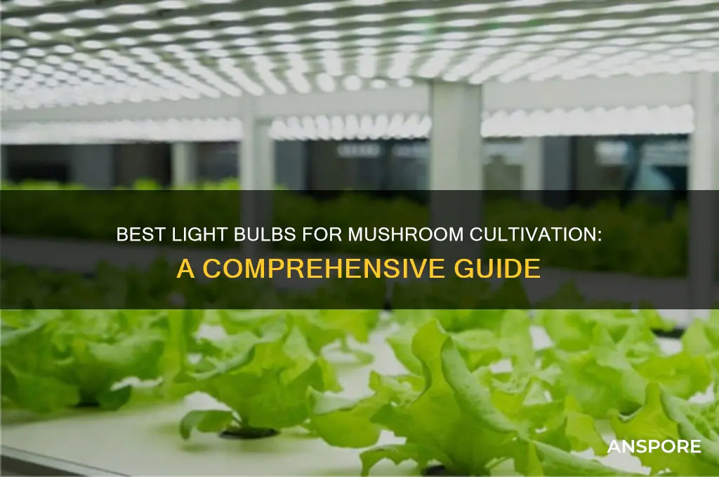 what type of light bulb is for growing mushrooms