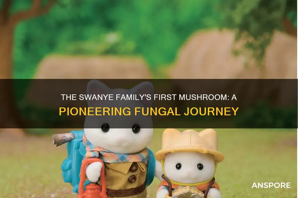 what type of mushroom did the swanye family first grow