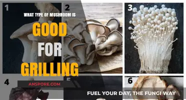 Best Mushrooms for Grilling: Juicy, Flavorful Varieties to Try