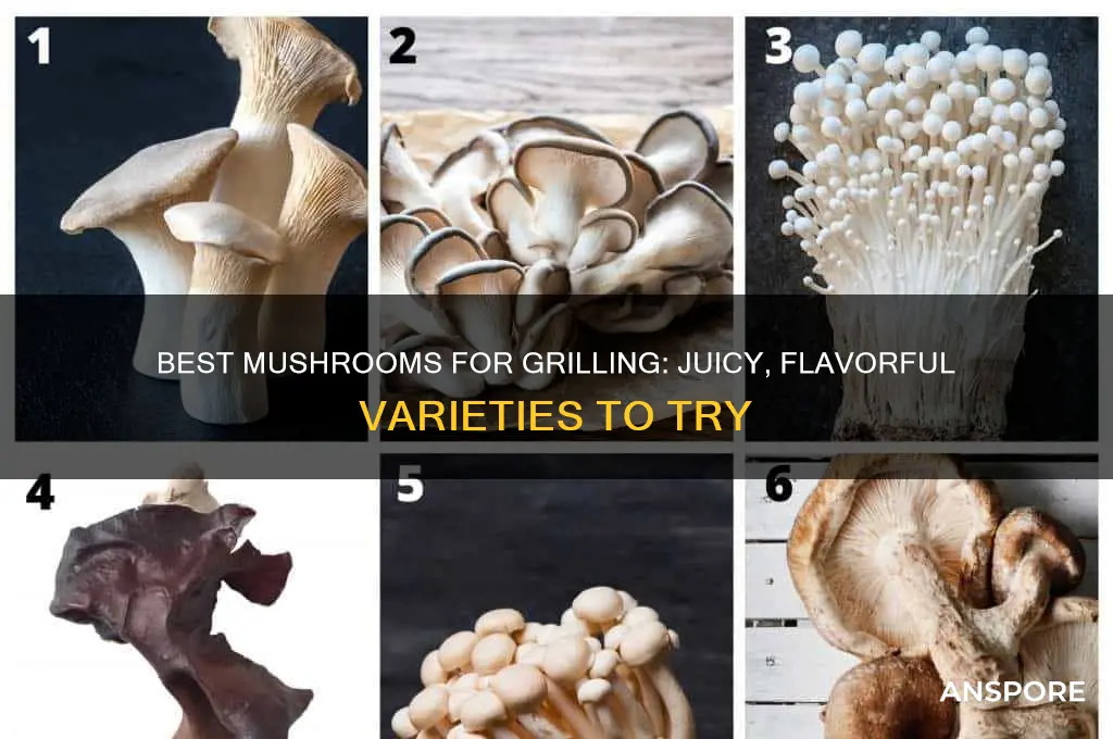 what type of mushroom is good for grilling