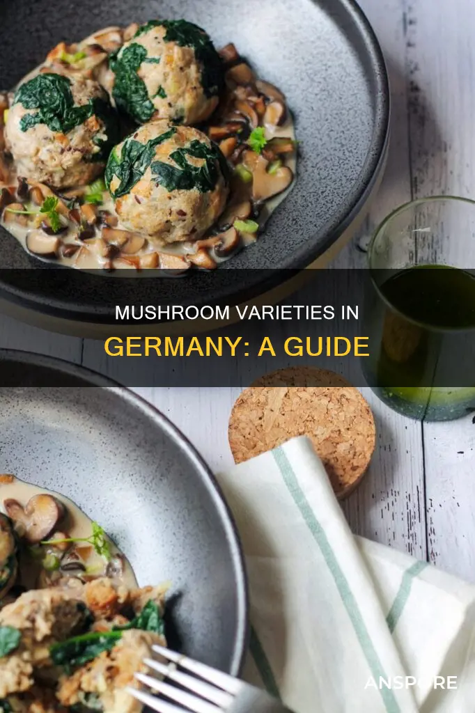 what type of mushrooms germany