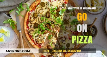 Perfect Pizza Toppings: Best Mushroom Varieties for Flavorful Slices