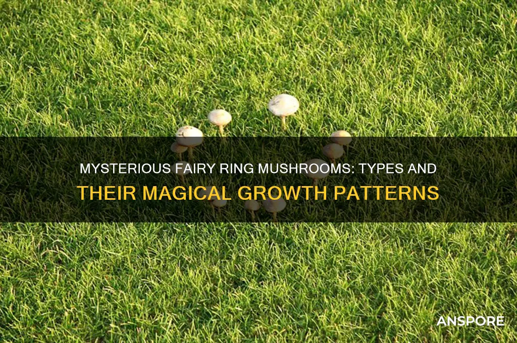 what type of mushrooms grow in a ring