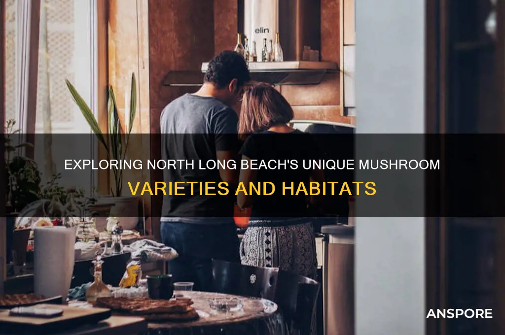 what type of mushrooms grows in north long beach