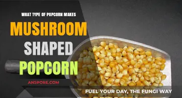 Discover the Secret to Perfect Mushroom-Shaped Popcorn Kernels
