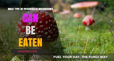 Exploring Edible Psychedelic Mushrooms: Types, Effects, and Safe Consumption