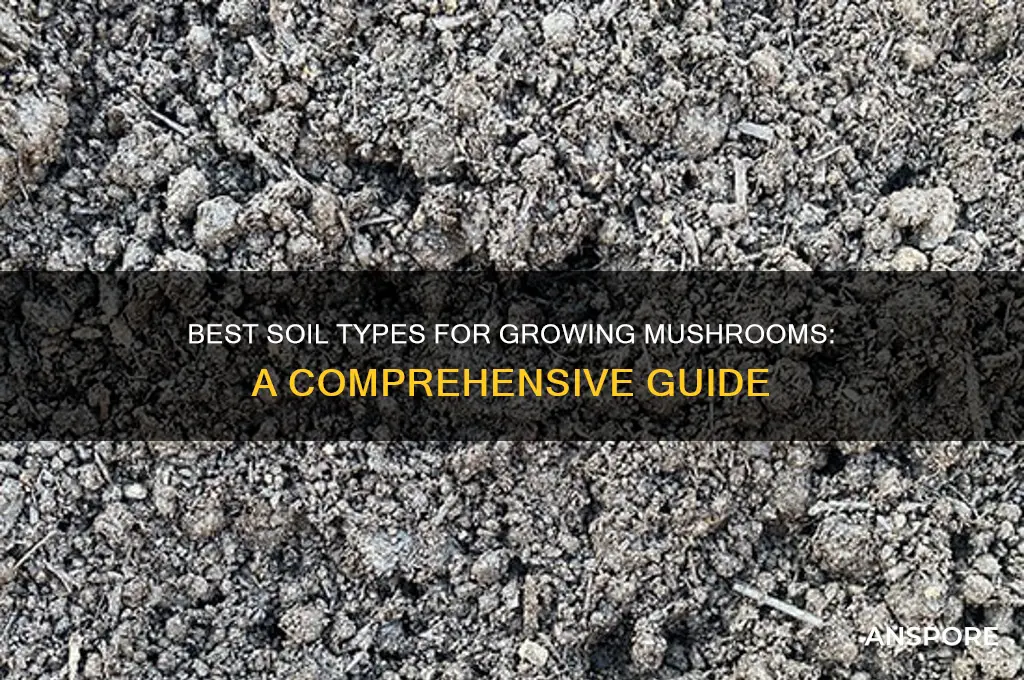 what type of soil do mushrooms grow in