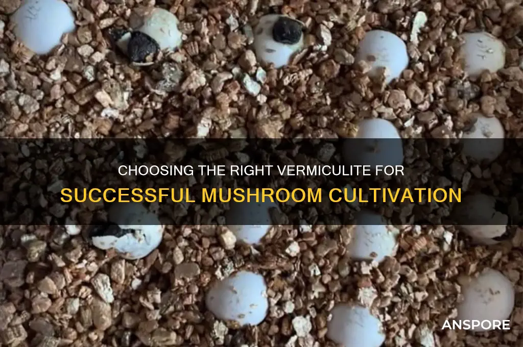 what type of vermiculite for mushroom growing
