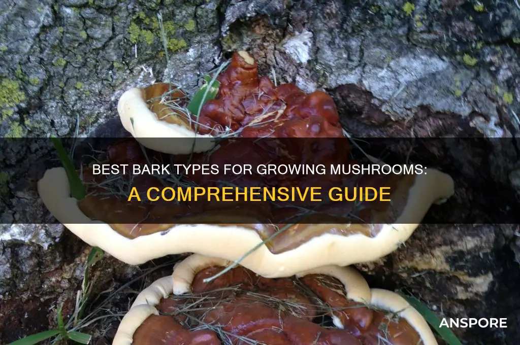 what types of bark are best for growing mushrooms