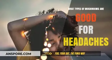 Natural Headache Relief: Best Mushroom Varieties to Ease Your Pain