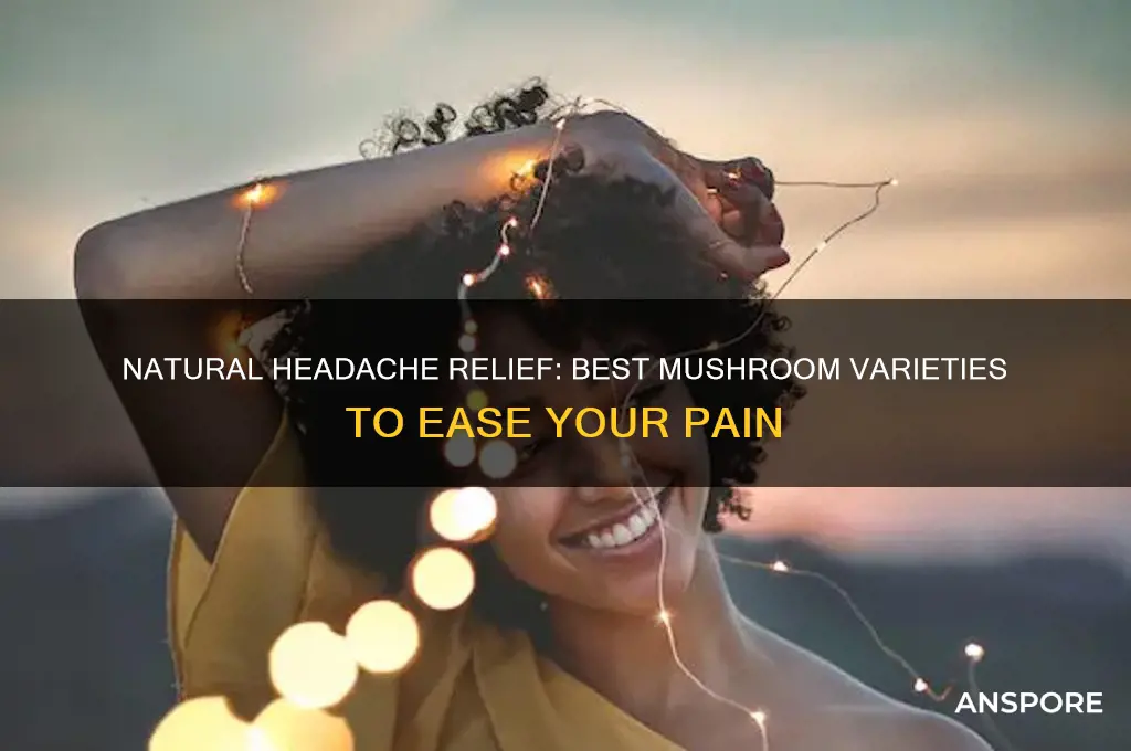 what types of mushrooms are good for headaches