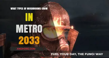 Exploring Metro 2033's Fungal World: Types of Mushrooms in the Apocalypse