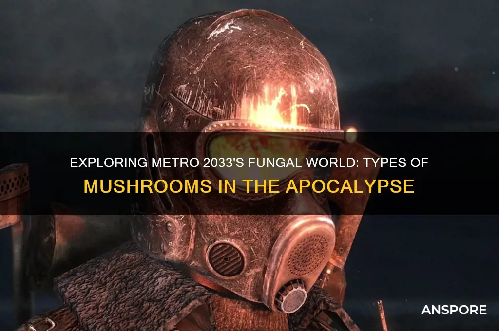 what types of mushrooms grow in metro 2033
