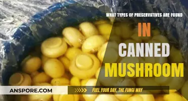 Common Preservatives in Canned Mushrooms: Types and Safety Explained