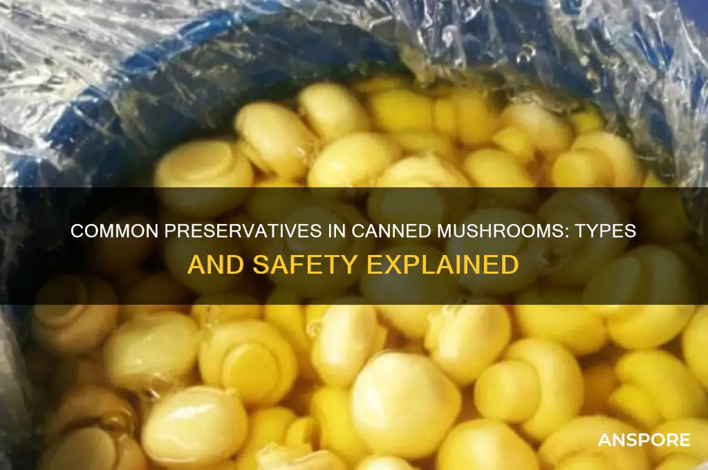 what types of preservatives are found in canned mushrooms
