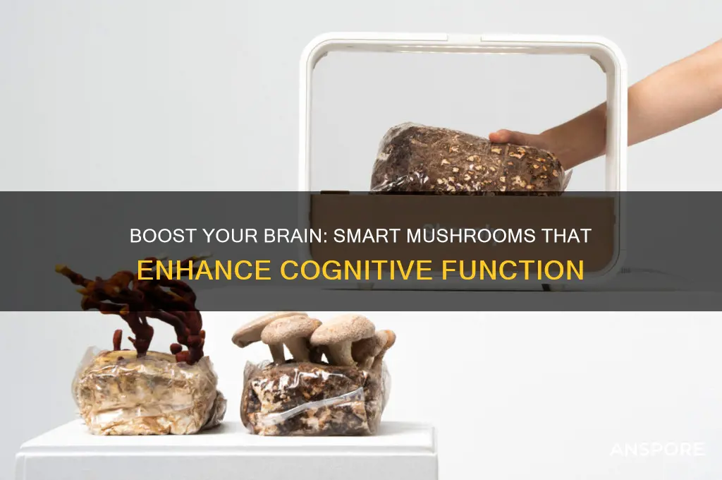 what un mushrooms make u smarter
