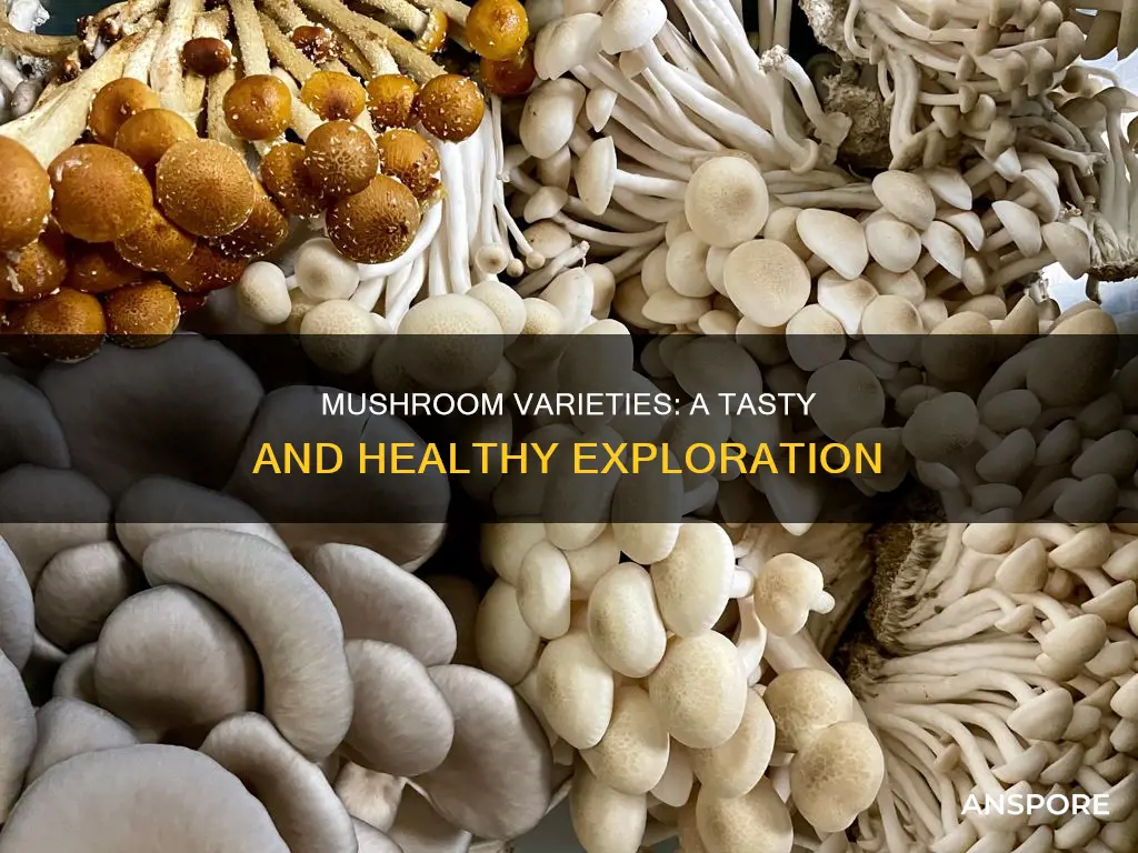 what variety of mushroom