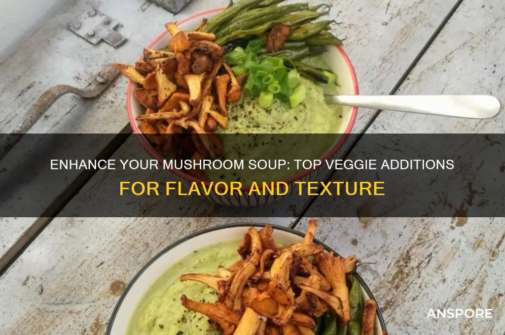what vegetables can you add to mushroom soup