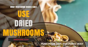 Delicious Vegetarian Recipes Using Dried Mushrooms for Flavorful Meals