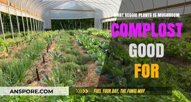 Mushroom Compost Benefits: Ideal Veggie Plants for Healthy Growth