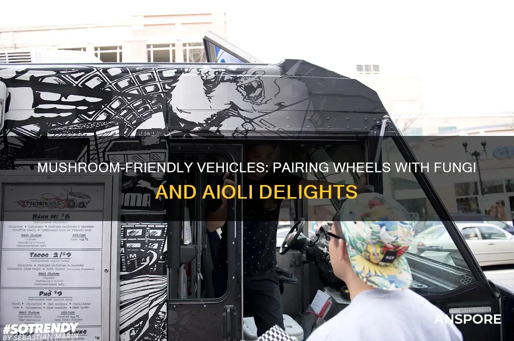 what vehhirs are good with mushrooms and an aioli