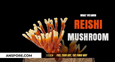 Reishi Mushrooms: Nature's Vitamin Powerhouse