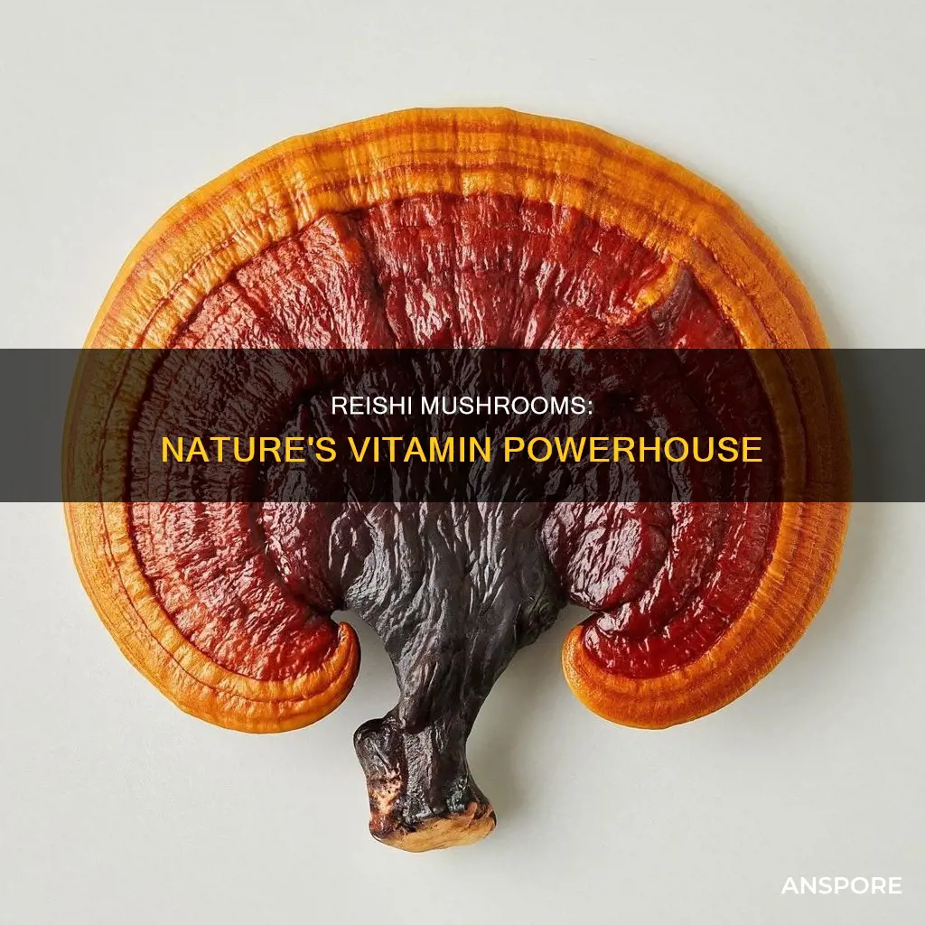 what vitamin reishi mushroom