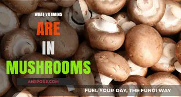 Mushrooms: Nature's Multivitamin Powerhouses
