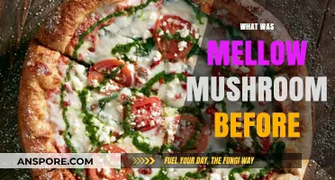Mellow Mushroom's Surprising Past: From Pizza to ..