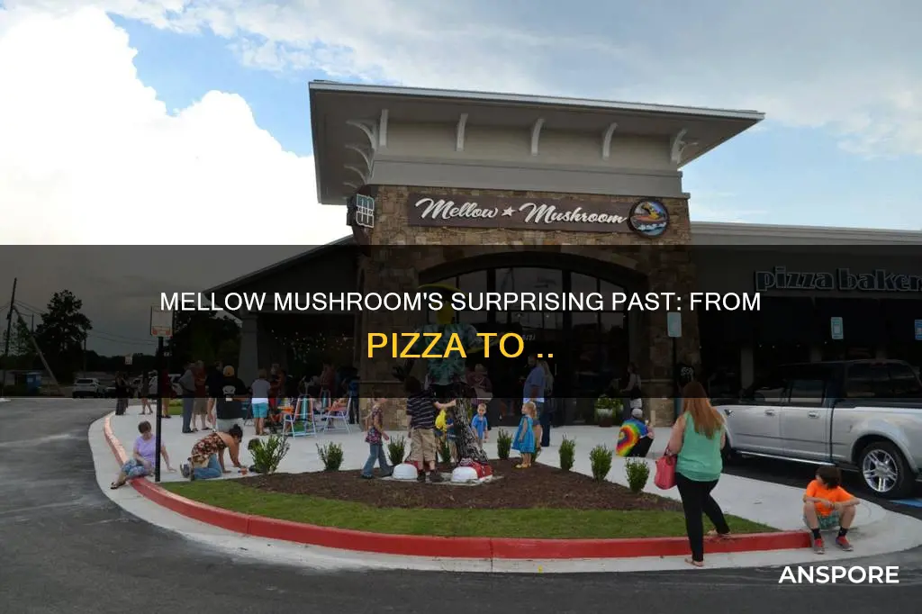 what was mellow mushroom before