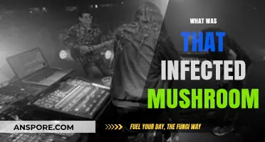 The Mystery of Infected Mushrooms: What Was That?