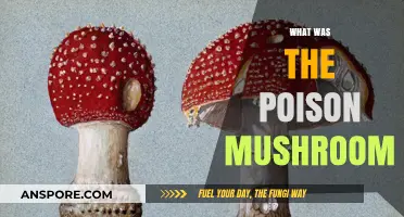 Unveiling the Deadly Truth: The Poison Mushroom's Dark History