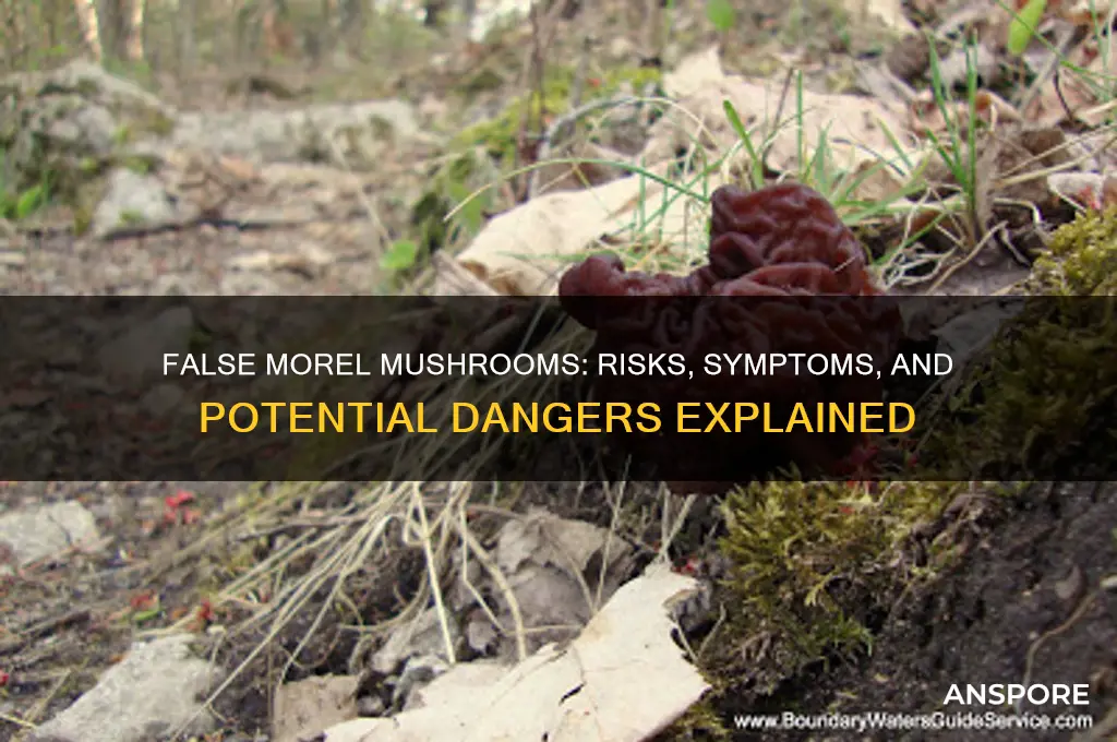 what will eating false marel mushrooms do to a person