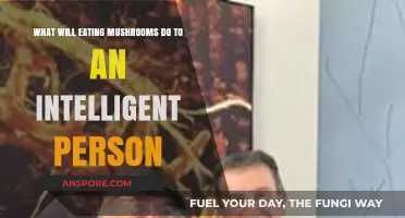 Mushrooms and Mind: How Fungi Impact Intelligent Individuals' Cognitive Health